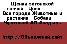 Щенки эстонской гончей › Цена ­ 7 000 - Все города Животные и растения » Собаки   . Чукотский АО,Анадырь г.